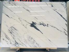 China Calacatta White marble Slabs