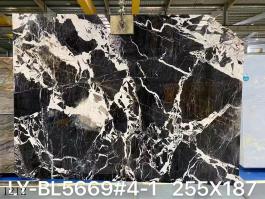 Black White Marble