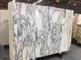 Arabescato Corchia Marble